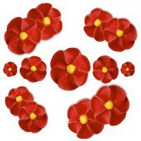 Vorschau: Zuckerdekoration - Feuerblumen - 100 Stück - ca. 30mm